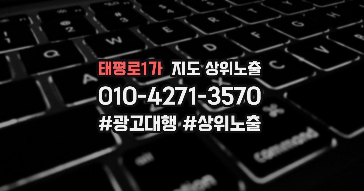 태평로1가 지도 상위 노출