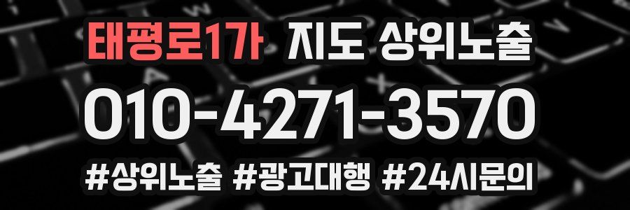 태평로1가 지도 상위 노출