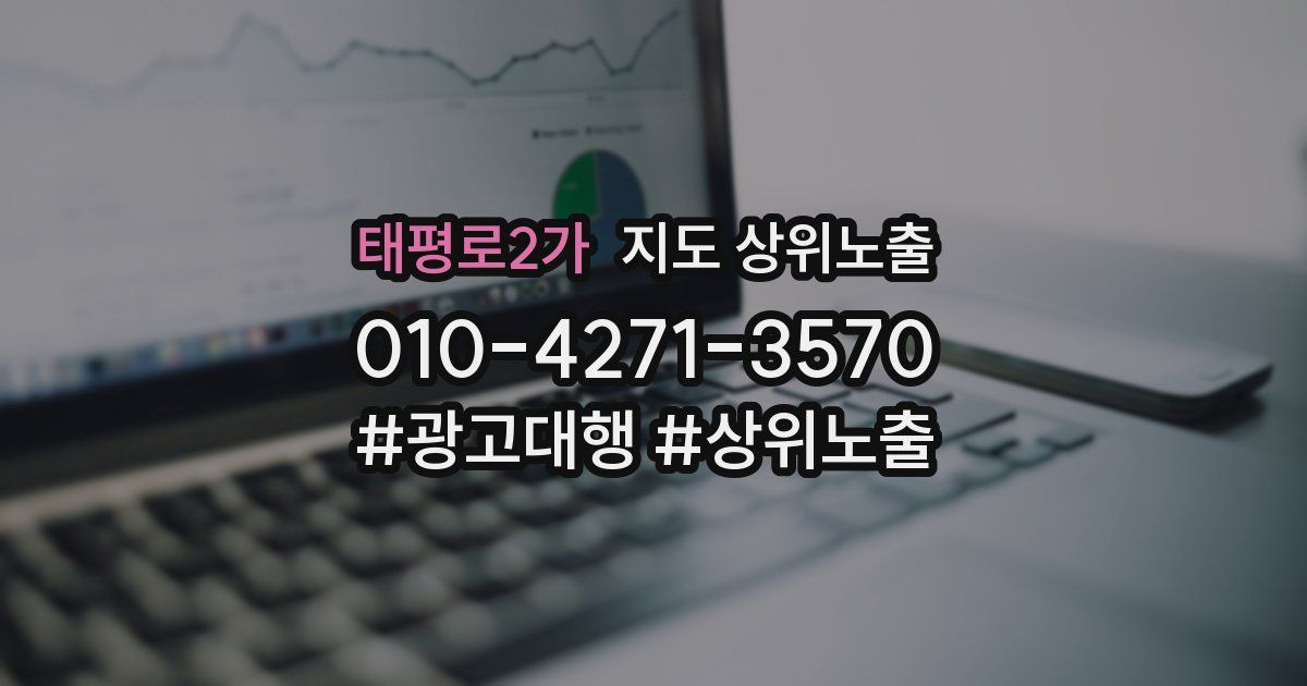 태평로2가 지도 상위 노출