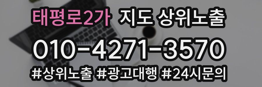 태평로2가 지도 상위 노출