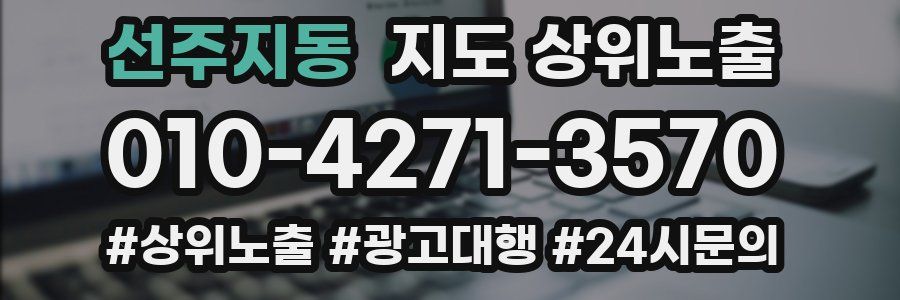 선주지동 지도 상위 노출