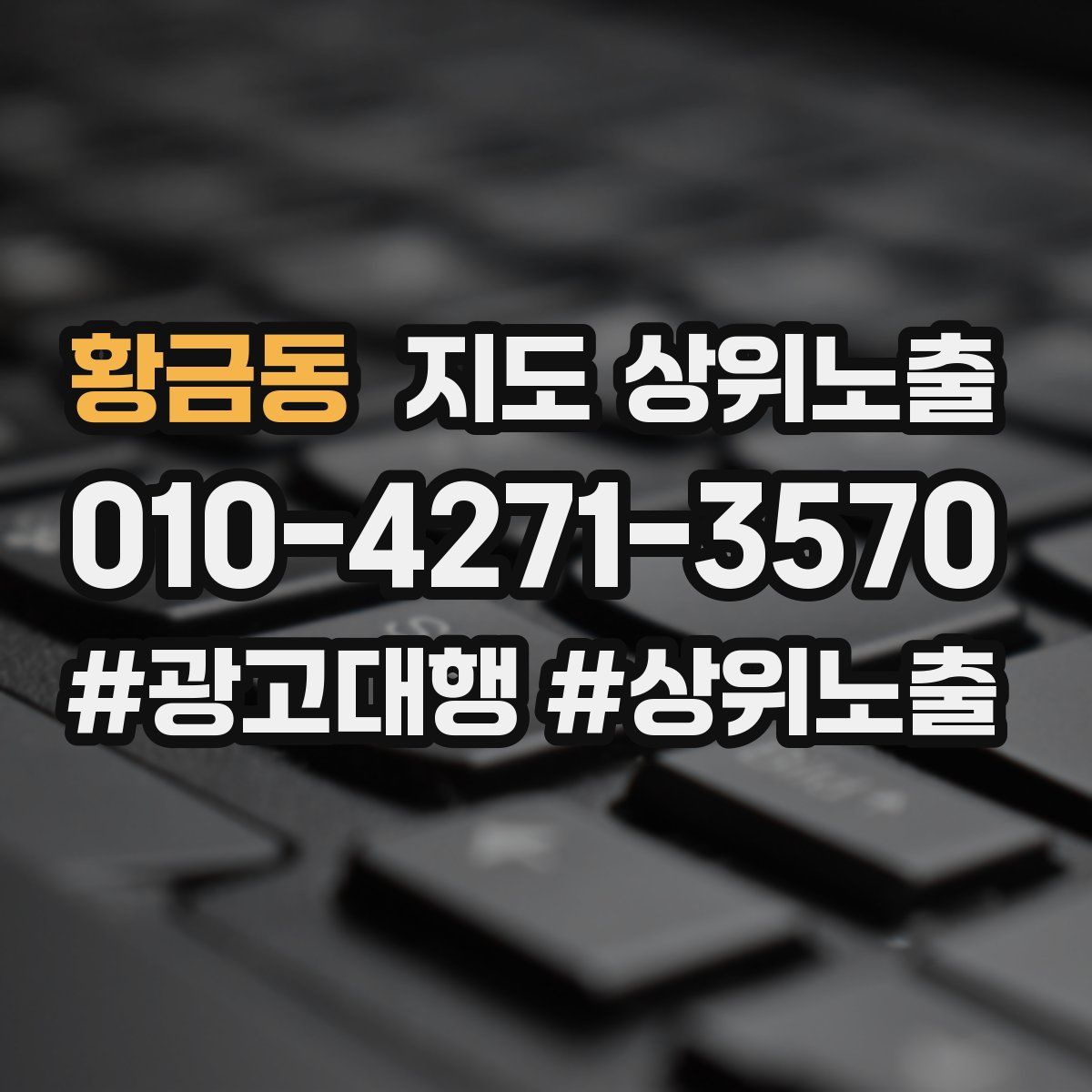 황금동 지도 상위 노출