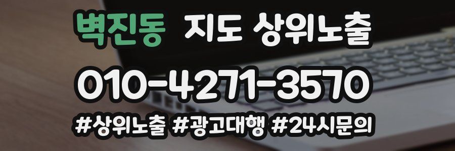 벽진동 지도 상위 노출