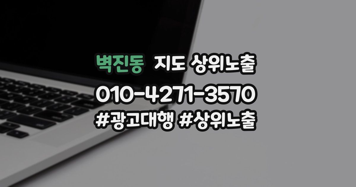 벽진동 지도 상위 노출