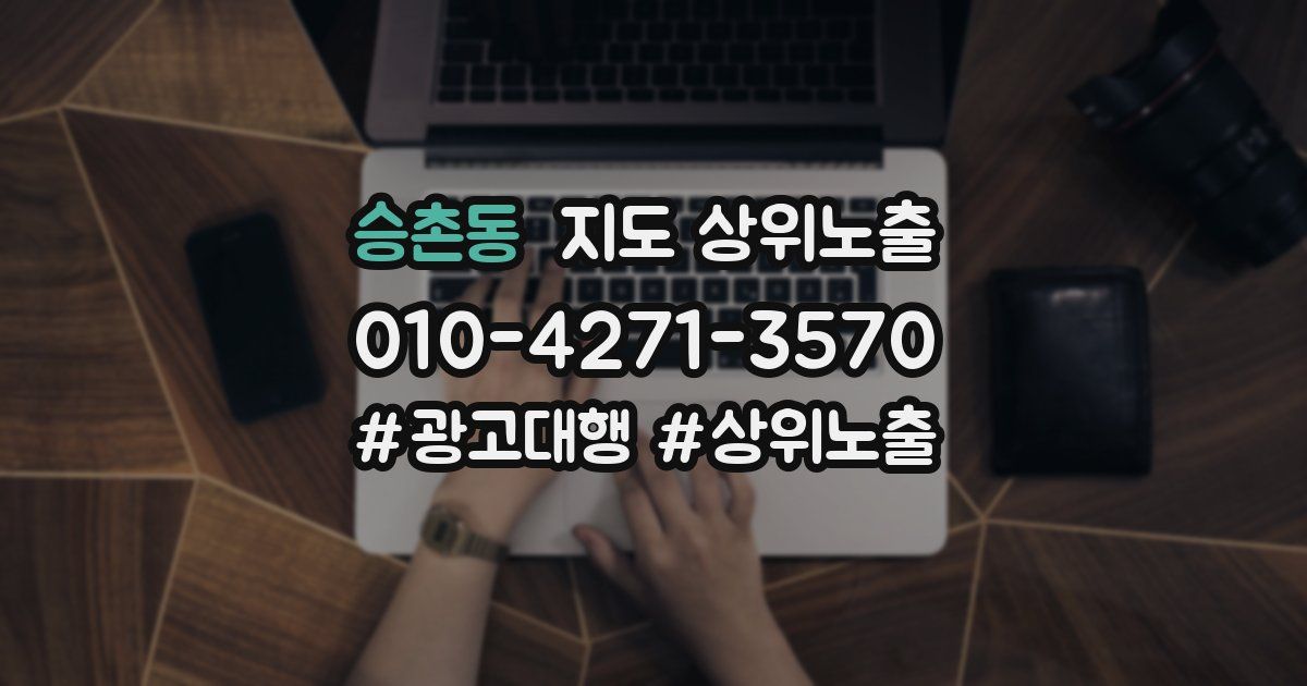 승촌동 지도 상위 노출