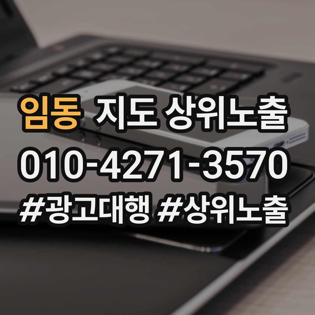 임동 지도 상위 노출