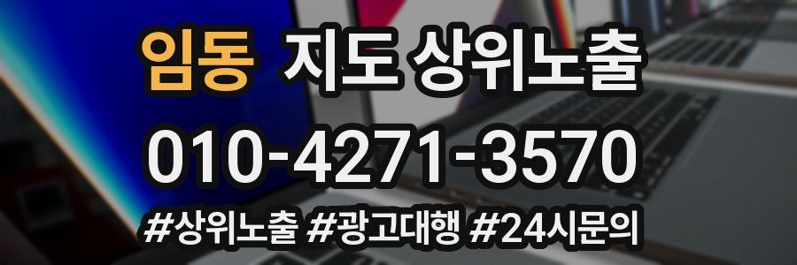 임동 지도 상위 노출