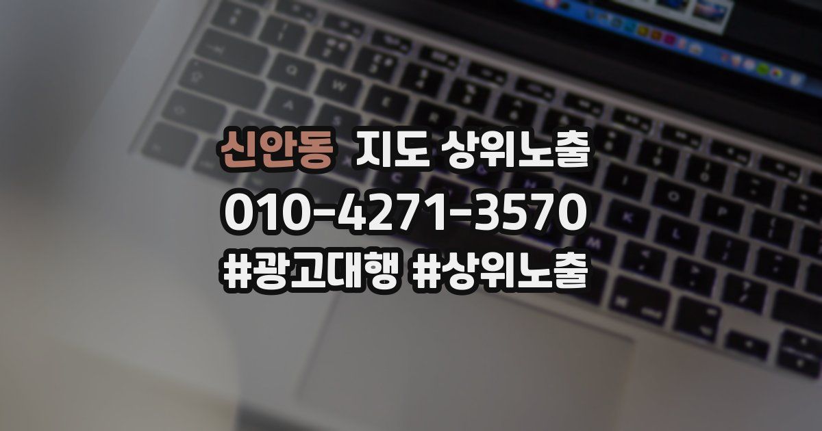 신안동 지도 상위 노출