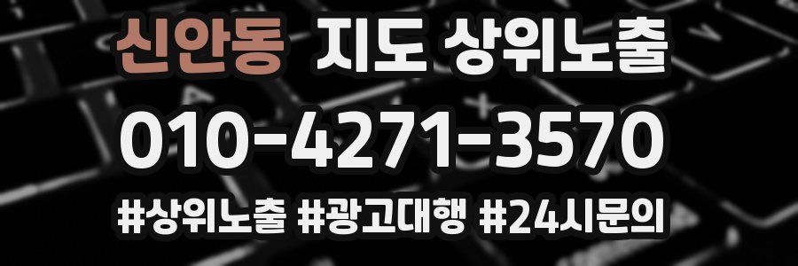 신안동 지도 상위 노출