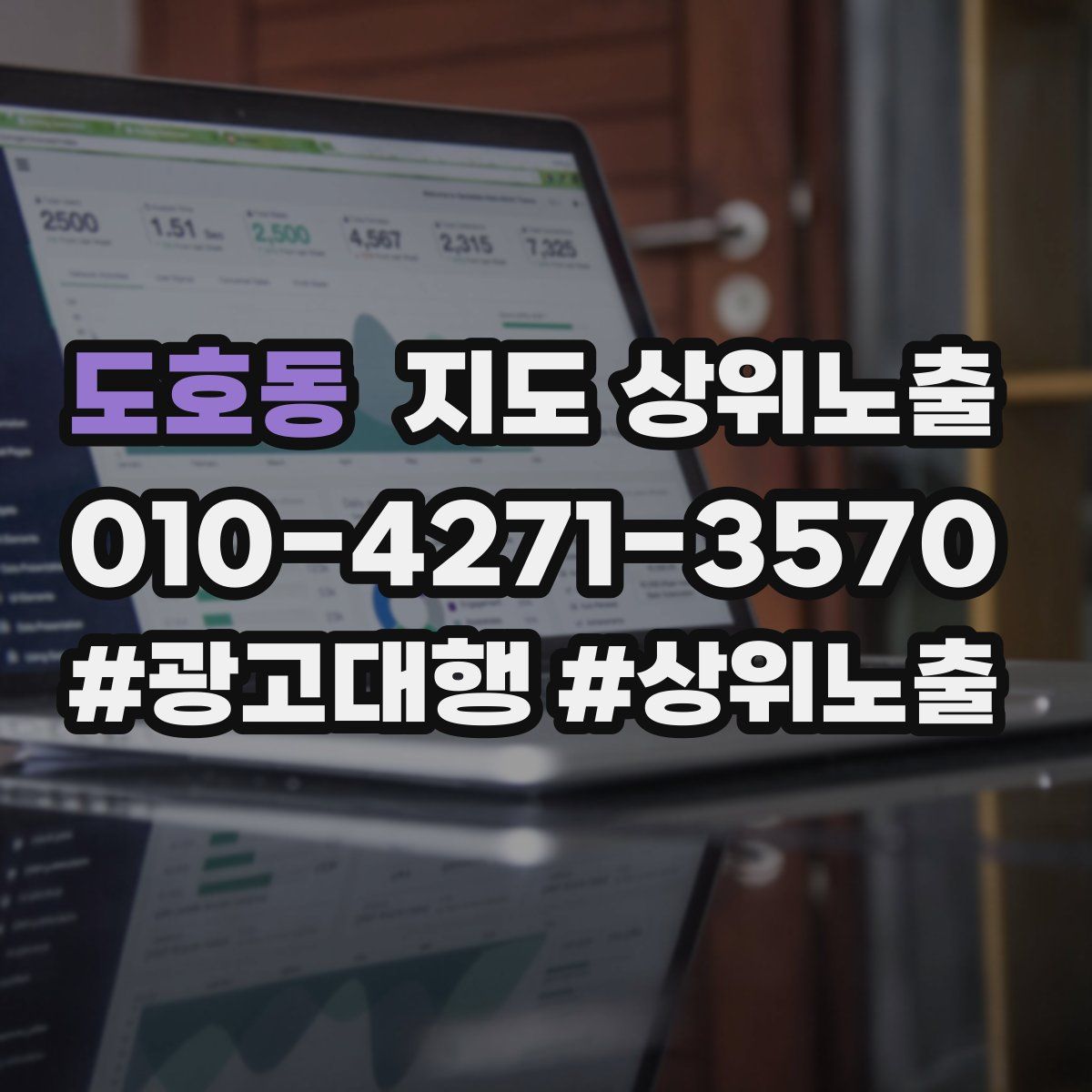 도호동 지도 상위 노출
