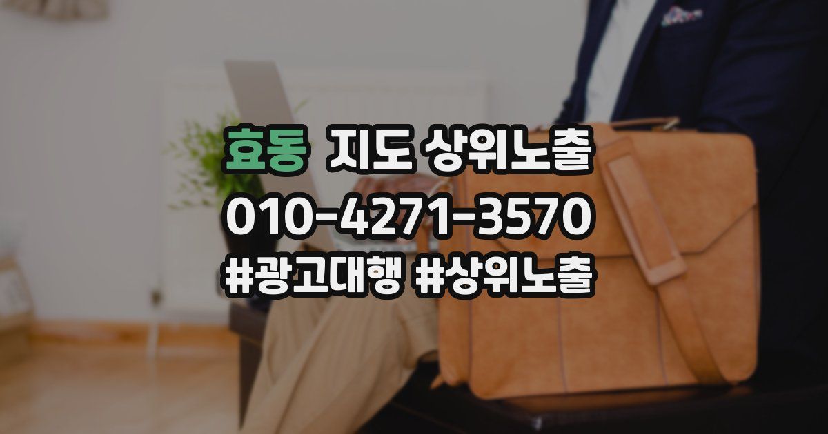 효동 지도 상위 노출