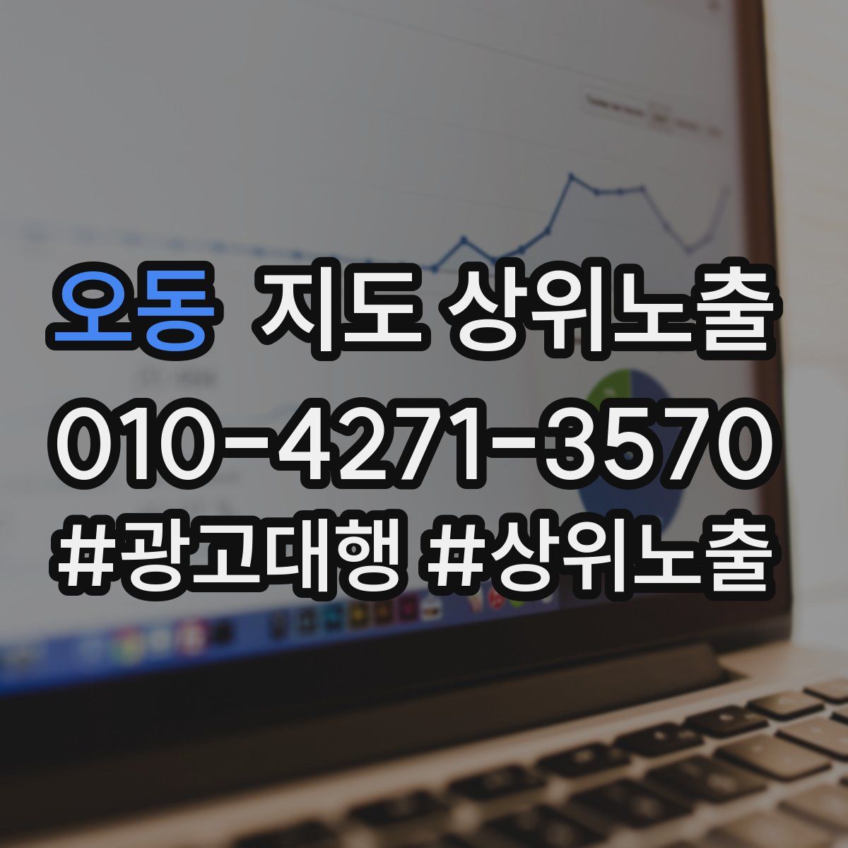 오동 지도 상위 노출