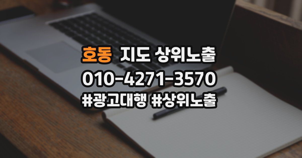 호동 지도 상위 노출