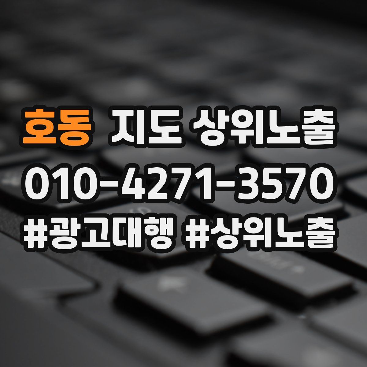 호동 지도 상위 노출