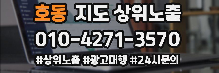 호동 지도 상위 노출
