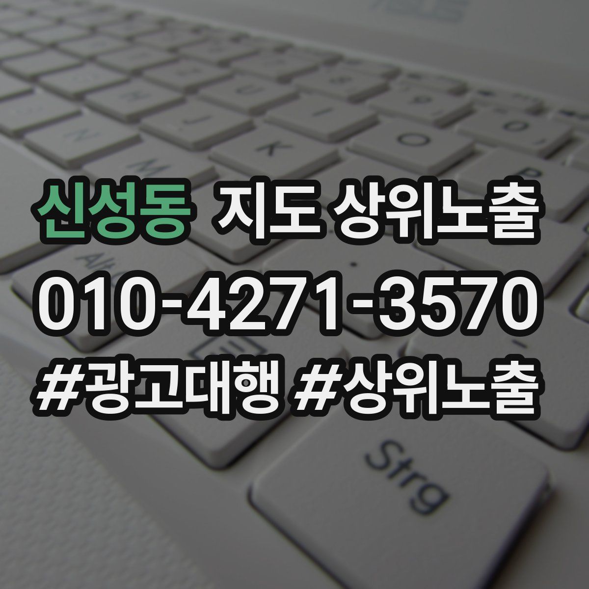 신성동 지도 상위 노출