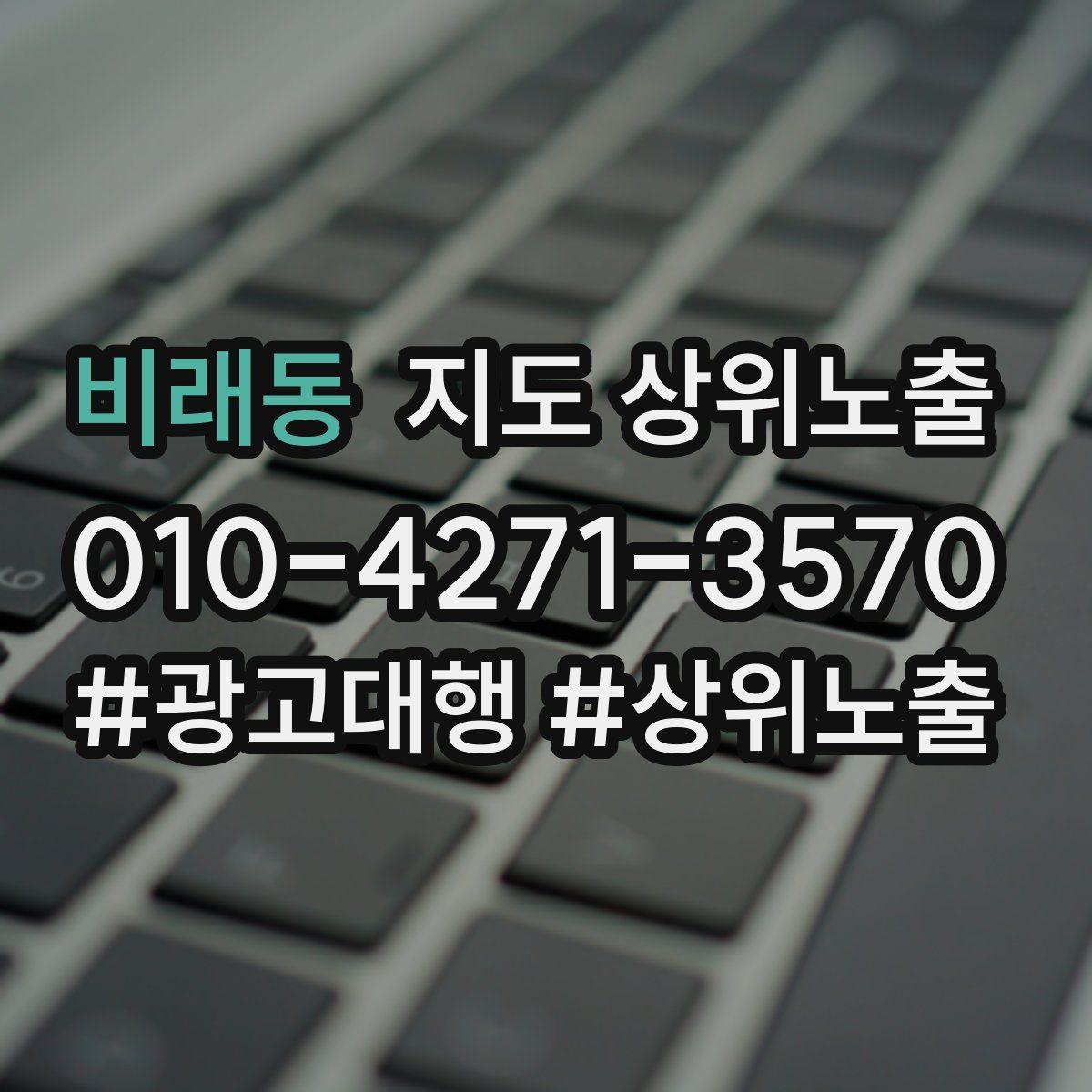 비래동 지도 상위 노출