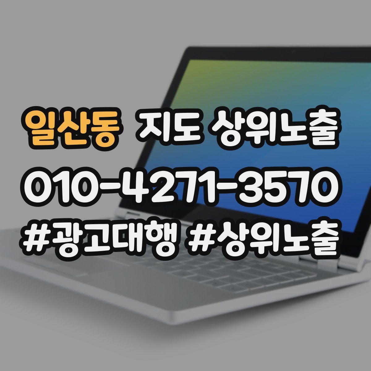 일산동 지도 상위 노출