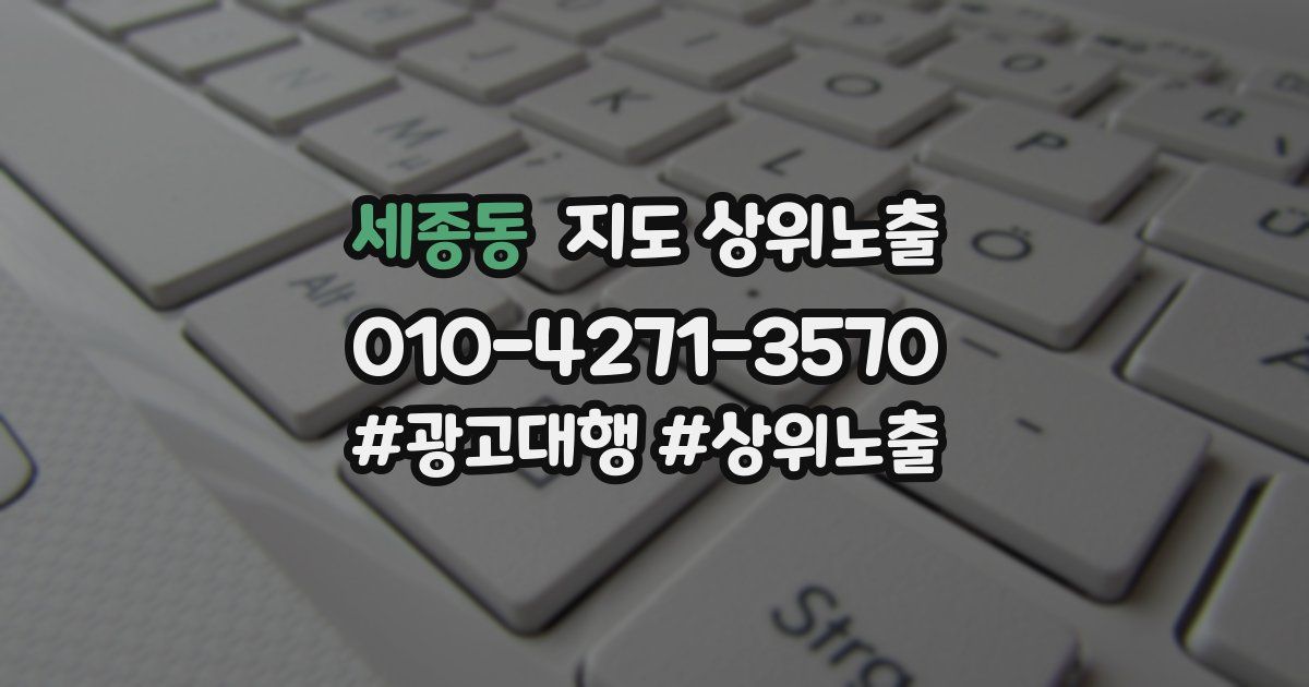 세종동 지도 상위 노출