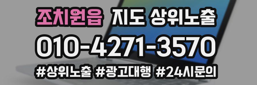 조치원읍 지도 상위 노출