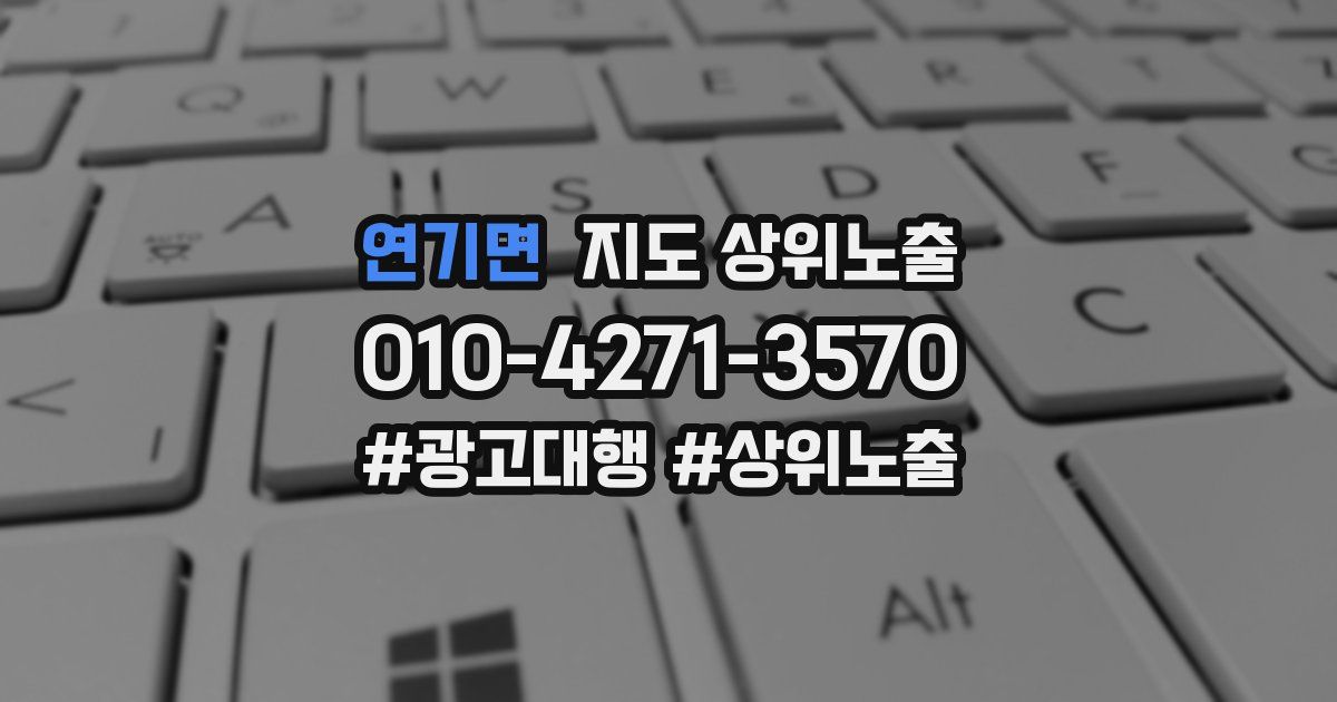 연기면 지도 상위 노출