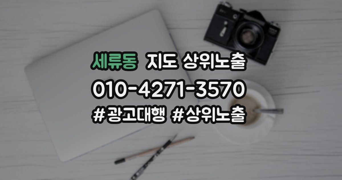 세류동 지도 상위 노출