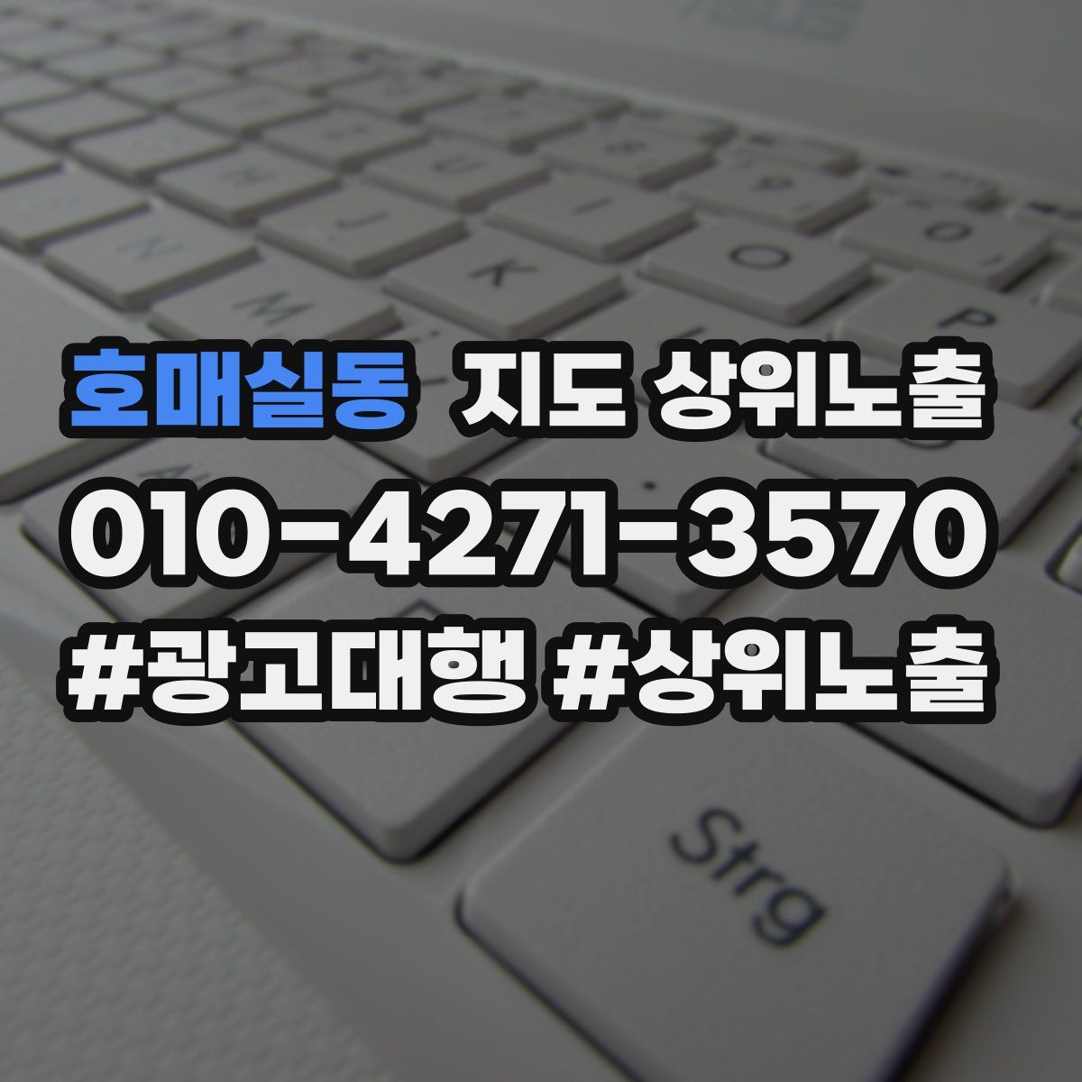 호매실동 지도 상위 노출