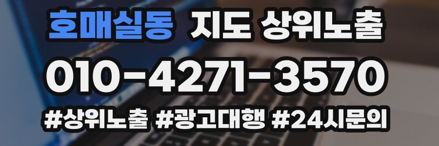 호매실동 지도 상위 노출