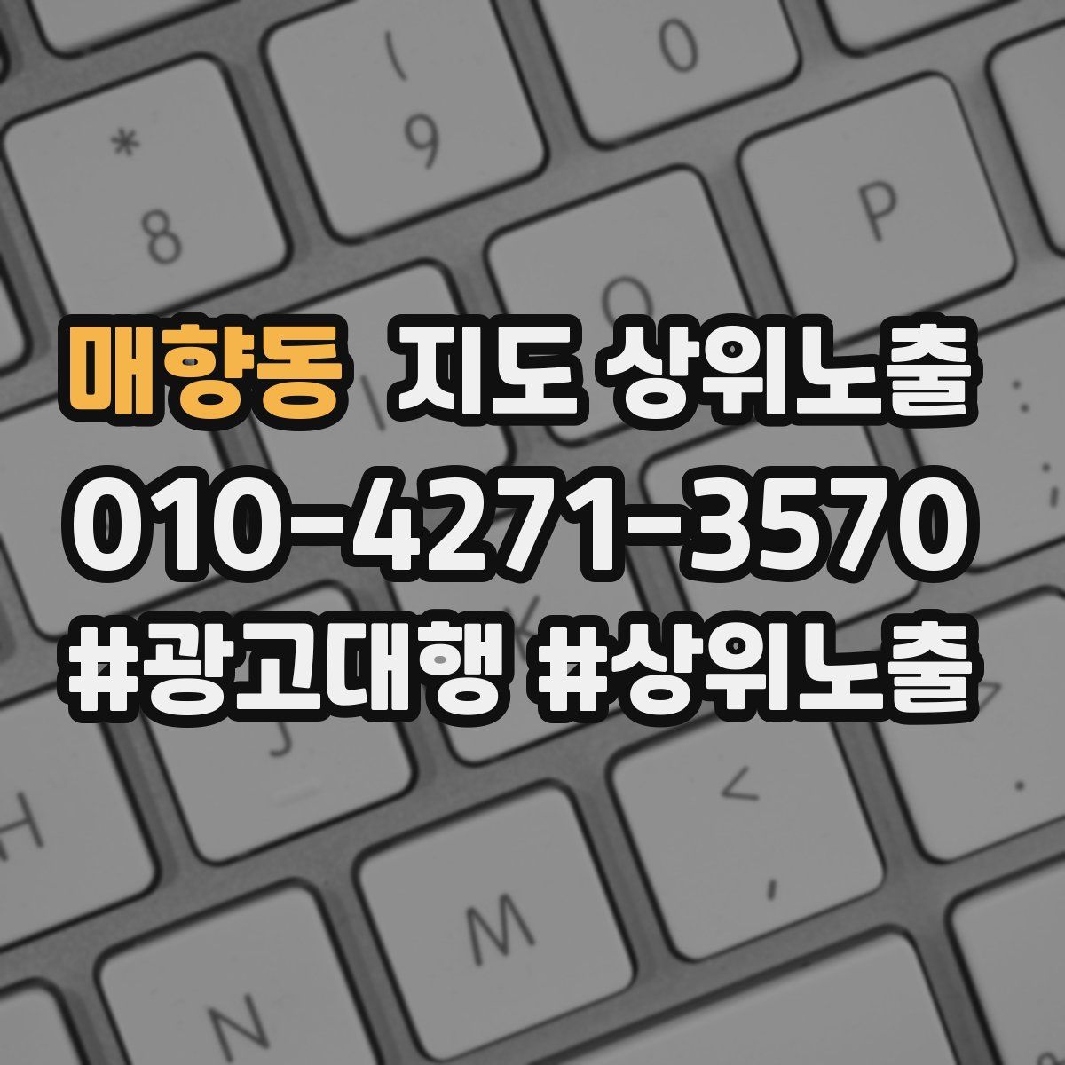 매향동 지도 상위 노출