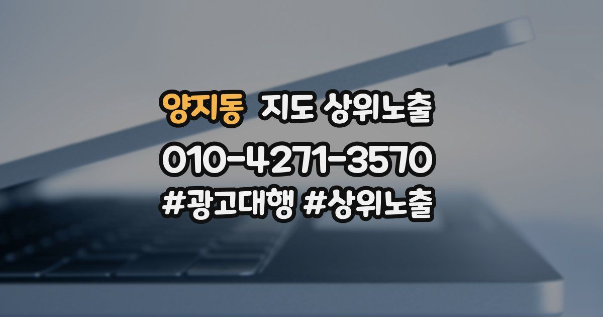 양지동 지도 상위 노출