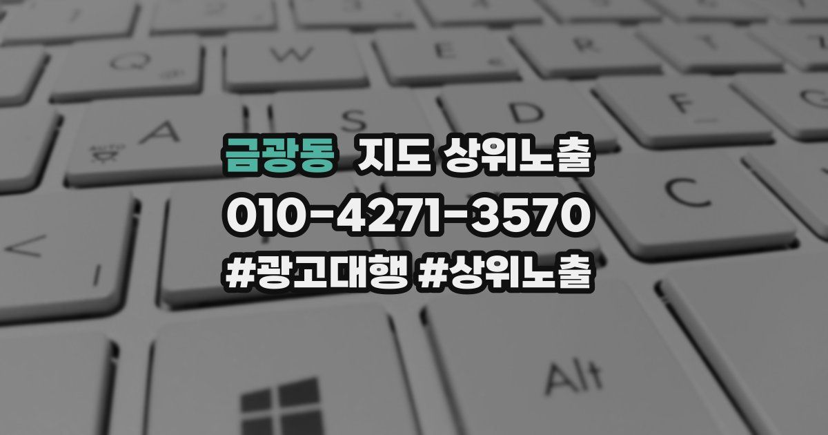 금광동 지도 상위 노출
