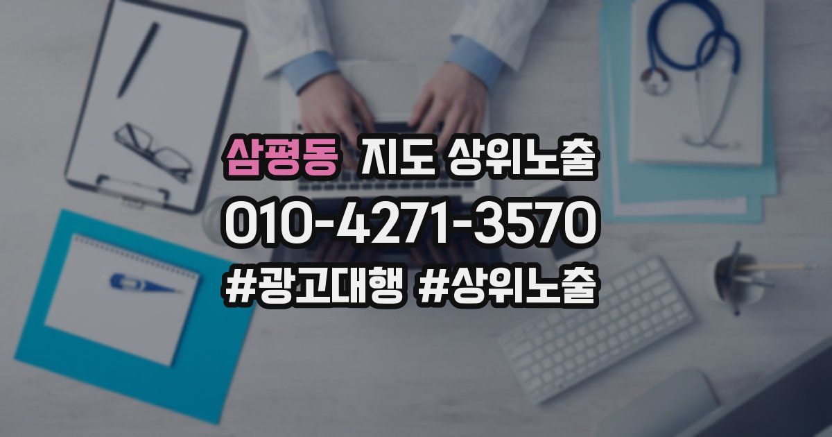 삼평동 지도 상위 노출