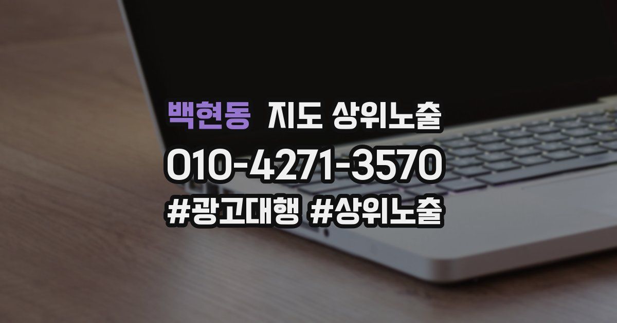 백현동 지도 상위 노출