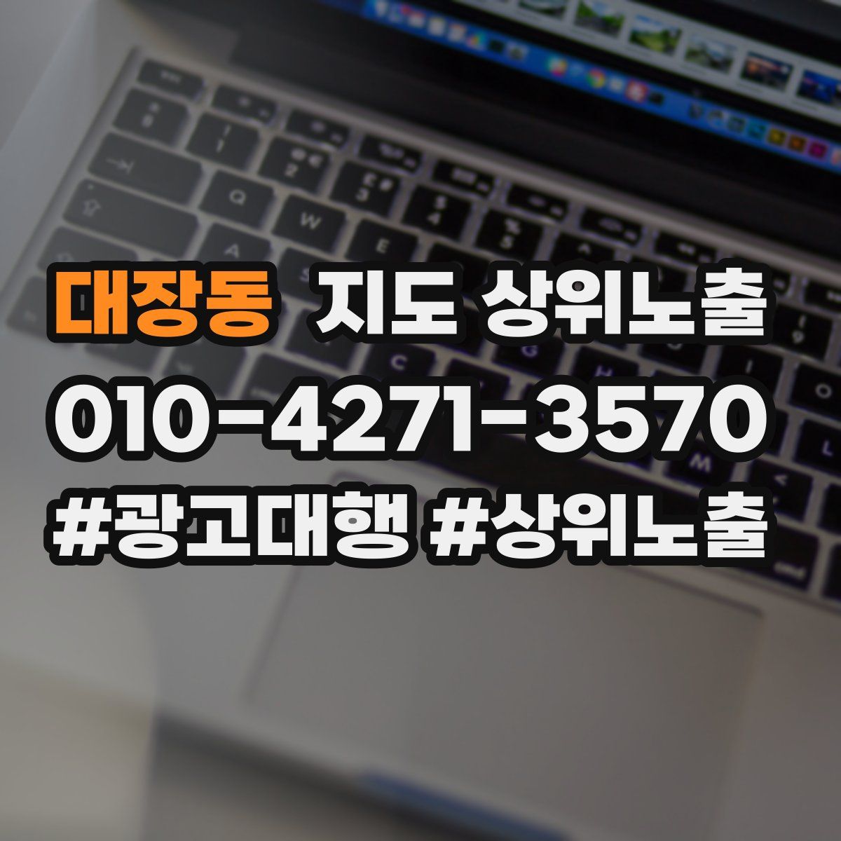 대장동 지도 상위 노출
