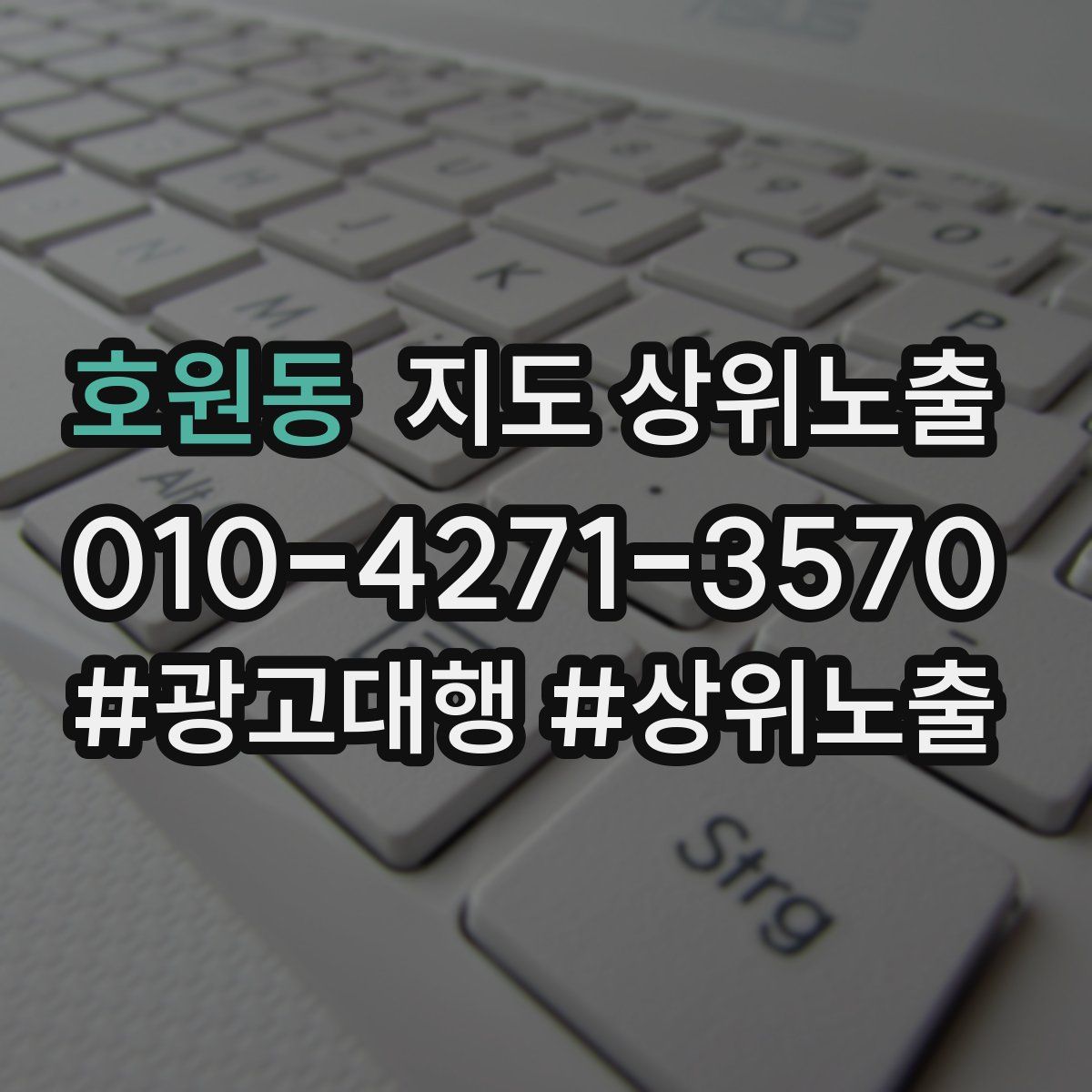 호원동 지도 상위 노출