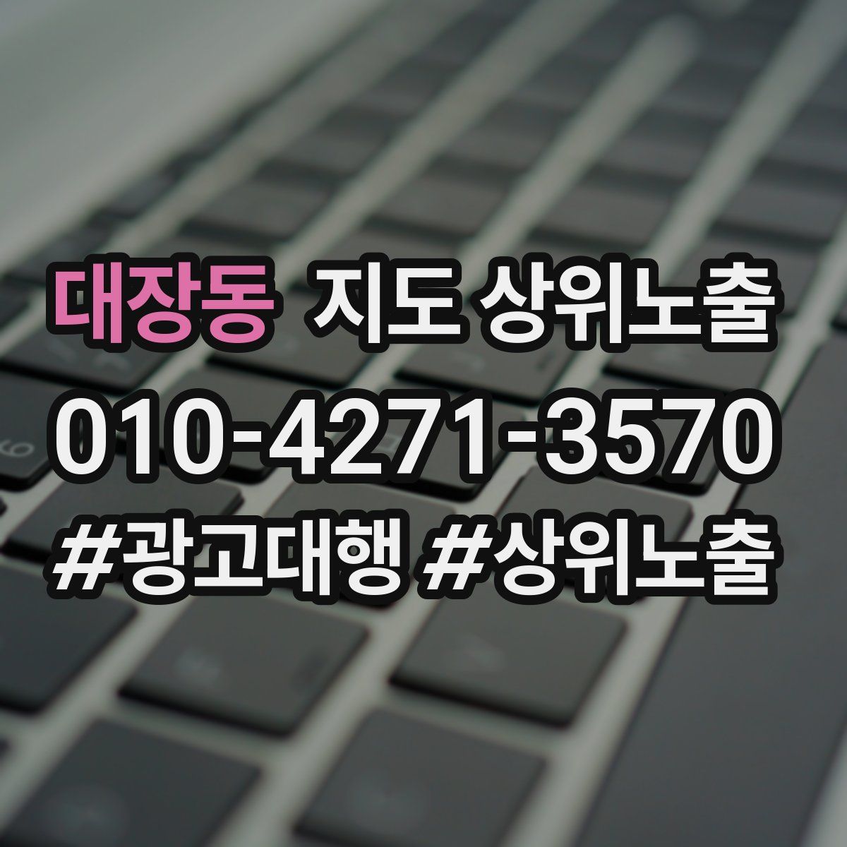 대장동 지도 상위 노출