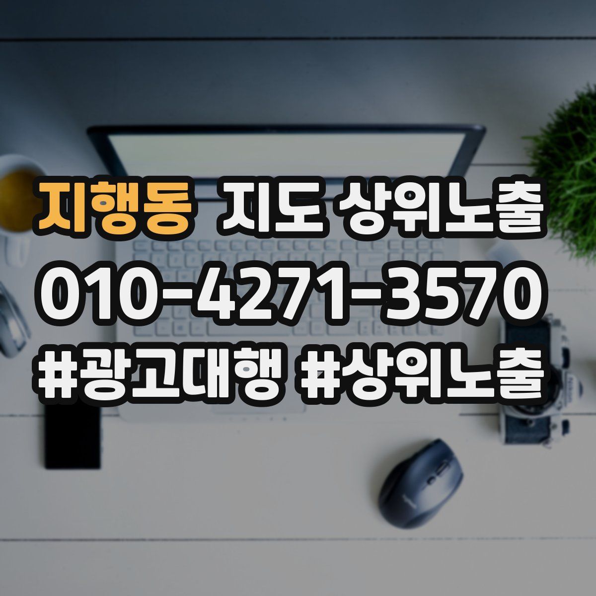 지행동 지도 상위 노출