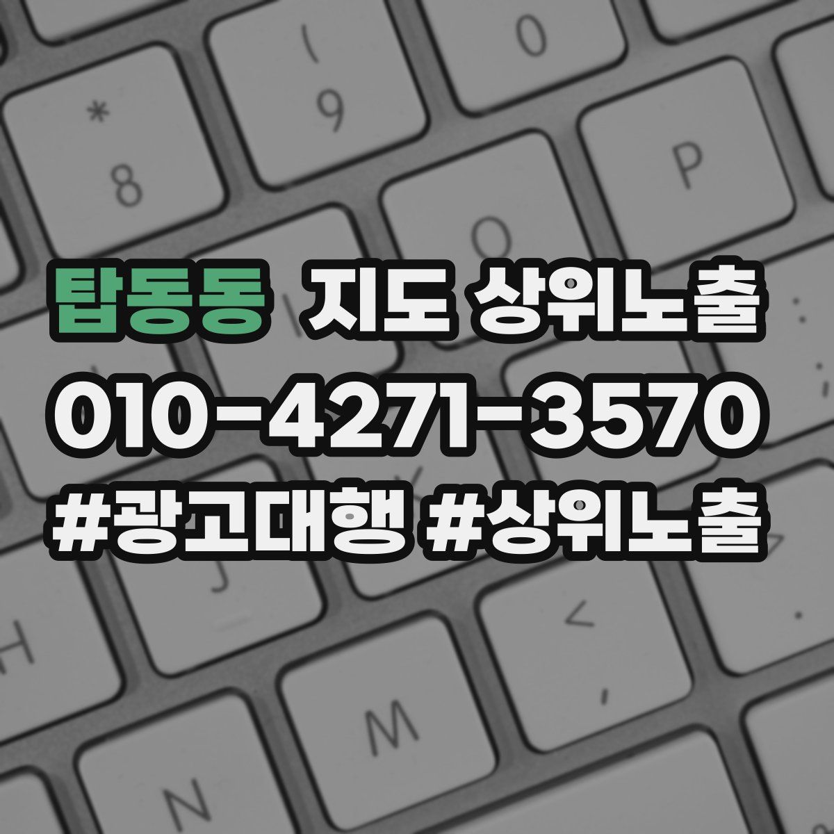 탑동동 지도 상위 노출