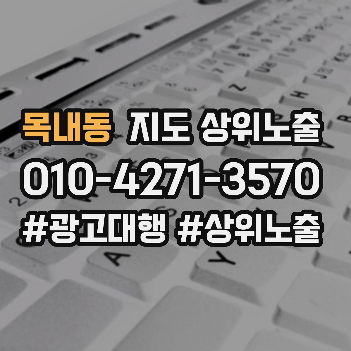 목내동 지도 상위 노출