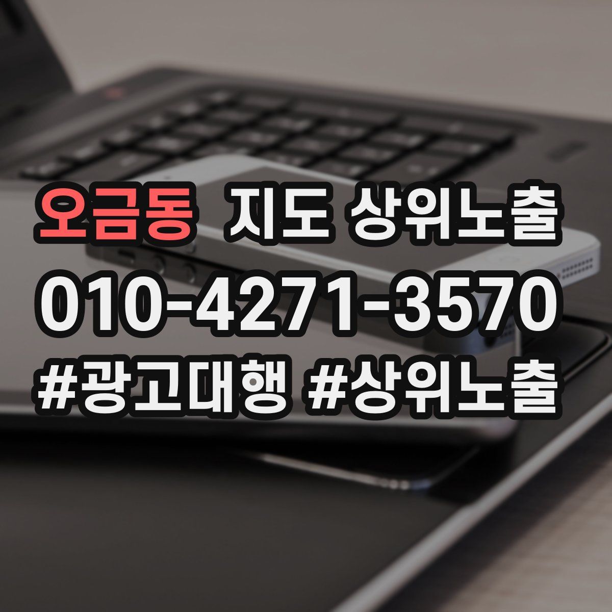 오금동 지도 상위 노출