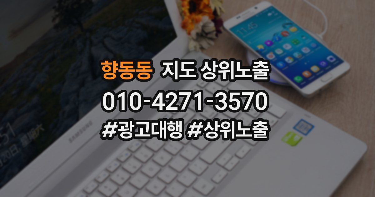 향동동 지도 상위 노출