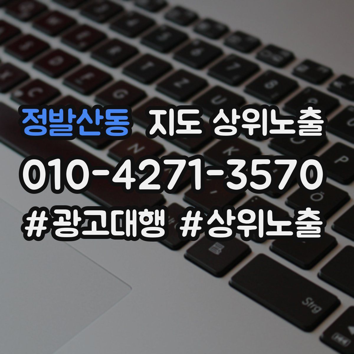 정발산동 지도 상위 노출