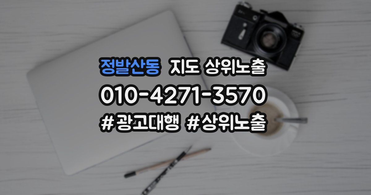 정발산동 지도 상위 노출