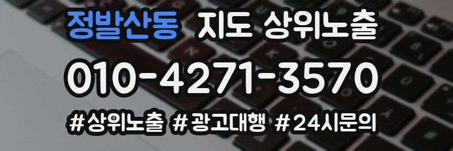 정발산동 지도 상위 노출