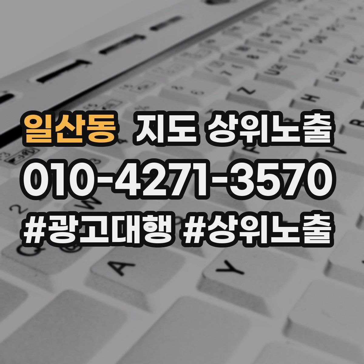 일산동 지도 상위 노출