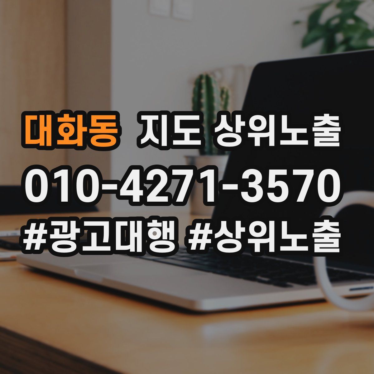 대화동 지도 상위 노출