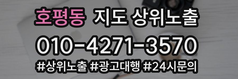 호평동 지도 상위 노출