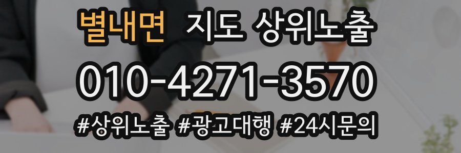 별내면 지도 상위 노출