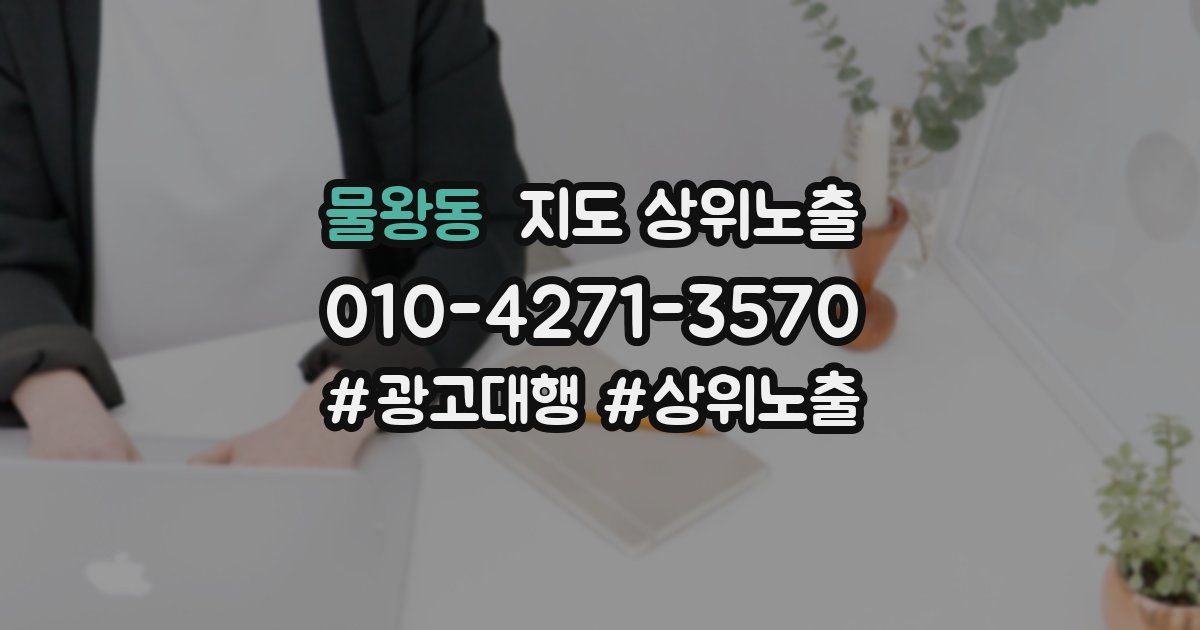 물왕동 지도 상위 노출