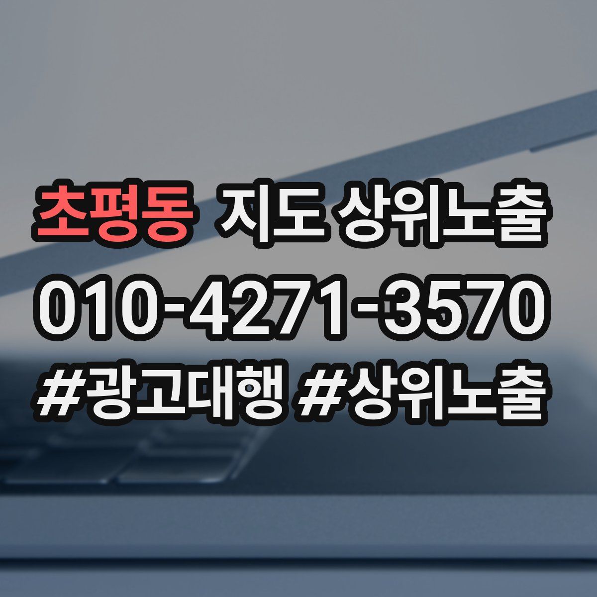 초평동 지도 상위 노출